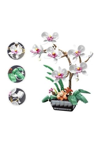 JAKI JK29011 Blok Beyaz Orkide 31 Cm 581 Parça