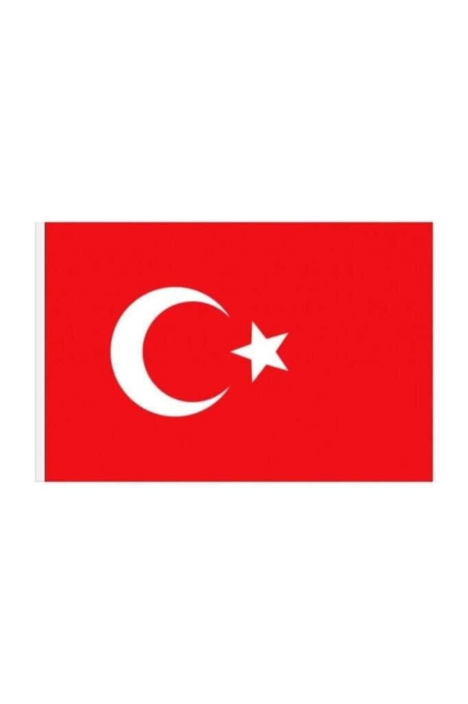 Vatan Bayrak (100*150 Cm)