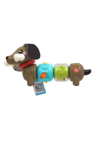 Köpekçikle Eğlenceli Aktiviteler