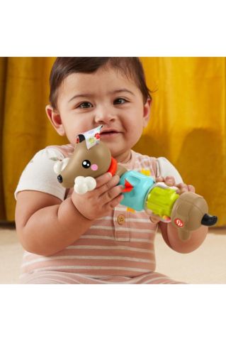 Köpekçikle Eğlenceli Aktiviteler