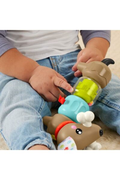 Köpekçikle Eğlenceli Aktiviteler