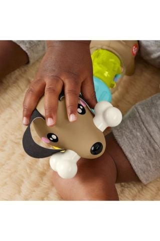 Köpekçikle Eğlenceli Aktiviteler