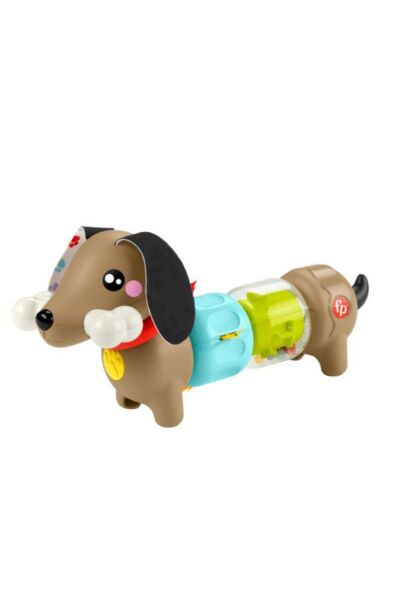 Köpekçikle Eğlenceli Aktiviteler
