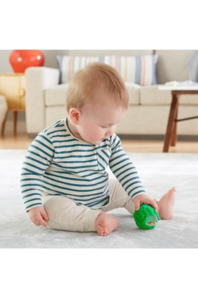 Fisher Price Sürprizli Oyuncaklar GJW22-GLD07