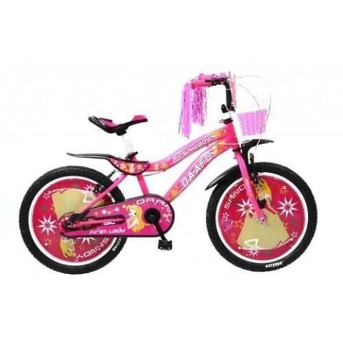 1620 16 Jant Race Lüks Sport Kağıt Kapaklı Aksesuarlı Bisiklet