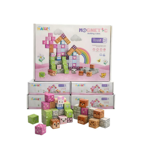 Magnet Küp Yapı Blok Seti 113 Parça