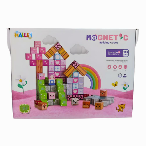 Magnet Küp Yapı Blok Seti 113 Parça