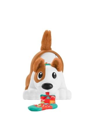 Fisher Price Emeklemeyi Ve Saymayı Öğreten Köpekçik