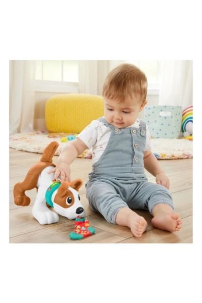 Fisher Price Emeklemeyi Ve Saymayı Öğreten Köpekçik