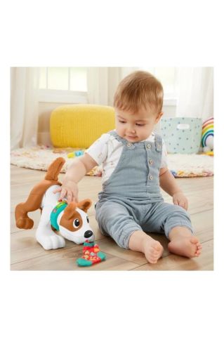 Fisher Price Emeklemeyi Ve Saymayı Öğreten Köpekçik