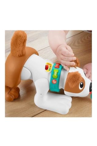 Fisher Price Emeklemeyi Ve Saymayı Öğreten Köpekçik