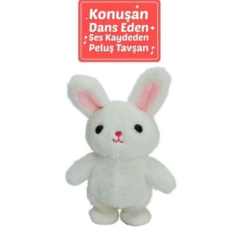 20 cm Dans Eden ve Ses Tekrar Eden Peluş Hayvanlar