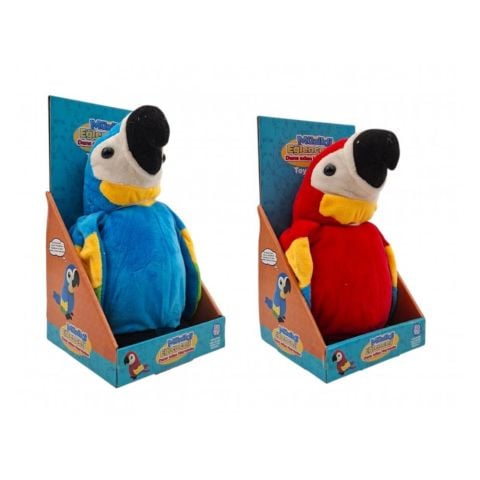 25 Cm Konuşulanı Tekrar Eden Papağan