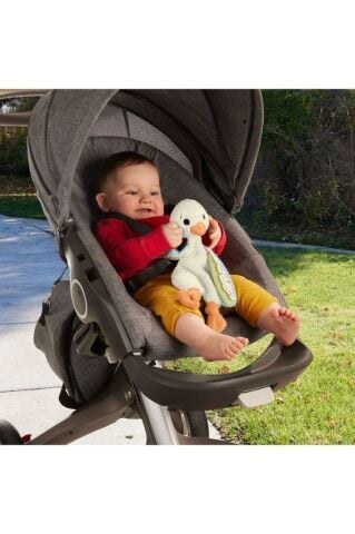 Fisher Price Sevimli Kaz, Yenidoğanlar Için Duyusal Gelişime Yardımcı, Sesli Oyuncak HRB16