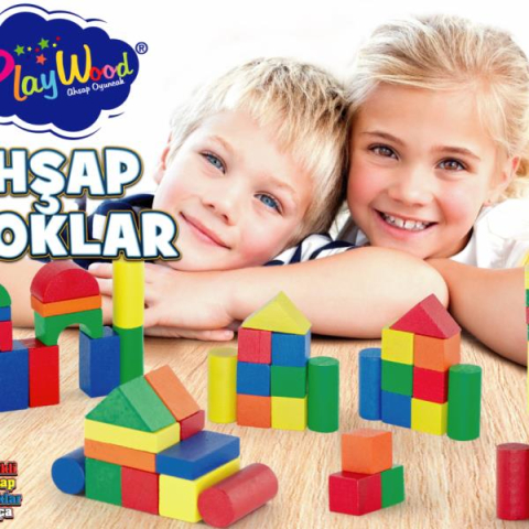 Kutuda Ahşap 60 Parça Renkli Bloklar