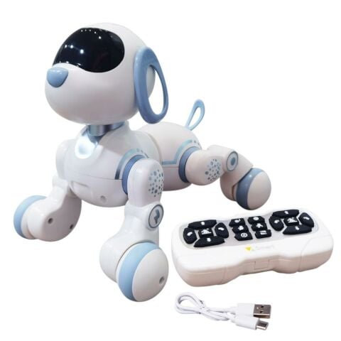 Uzaktan Kumandalı İnteraktif Akıllı Robot