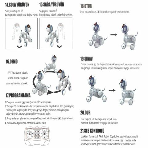 Uzaktan Kumandalı İnteraktif Akıllı Robot