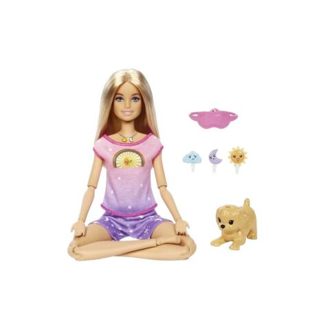 Barbie Meditasyon Yapıyor Oyun Seti