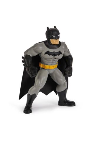 Dc Yüzme Arkadaşı Batman 6067008