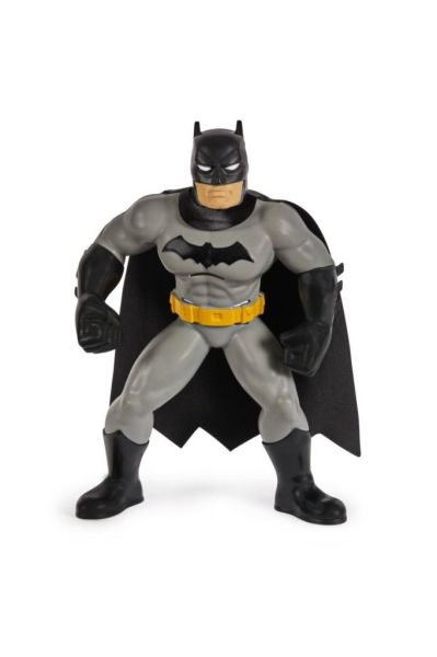 Dc Yüzme Arkadaşı Batman 6067008