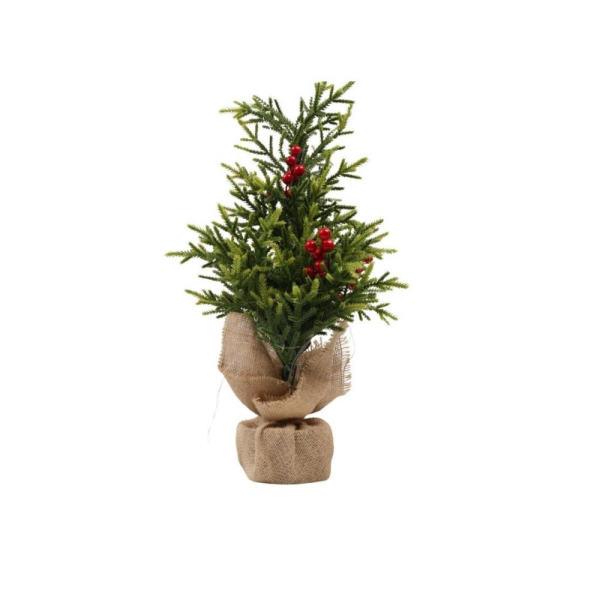 Forever 20 Ledli Mini Çam Ağacı 50cm