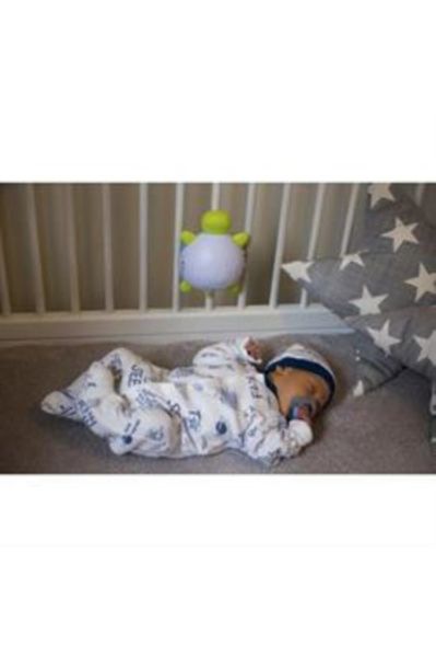 Uyku Zamanı Kaplumbağa