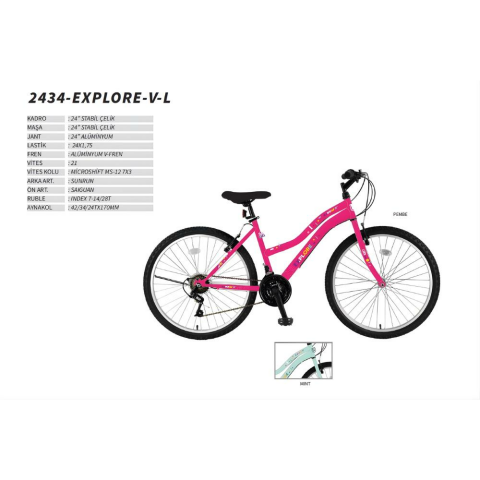 24 Explore L-Mtb V 21 Srn (BAYAN)