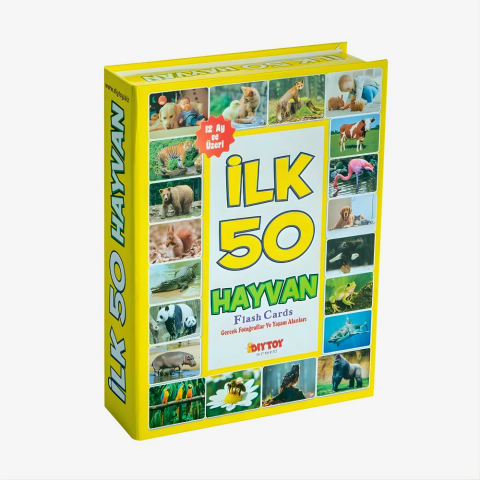 Yaşam Alanlarında İlk 50 Hayvan Eğitici Kartlar