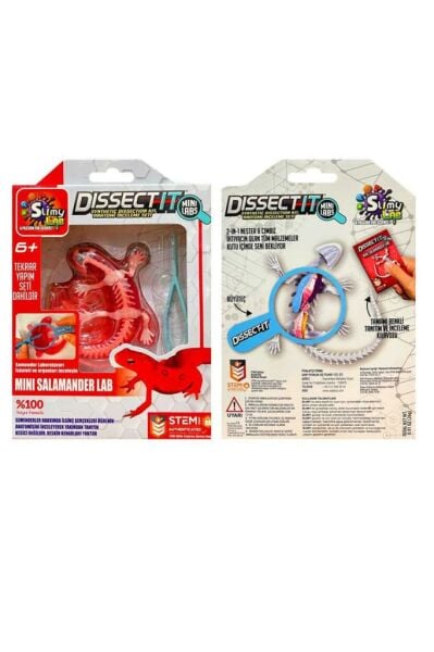 Slimy LAB MİNİ SEMENDER LABORATUVARI DENEY SETİ 6+