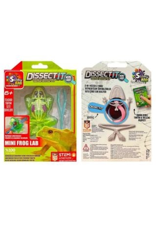 Slimy Lab Mini Kurbağa Laboratuvarı Deney Seti 6+