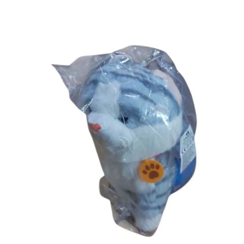 Pilli Kumandalı Kedi