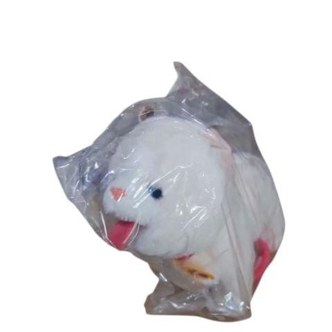 Pilli Kumandalı Kedi