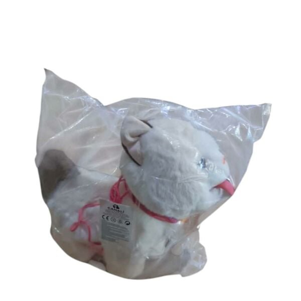Pilli Kumandalı Kedi