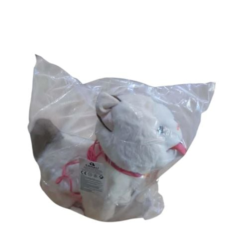 Pilli Kumandalı Kedi