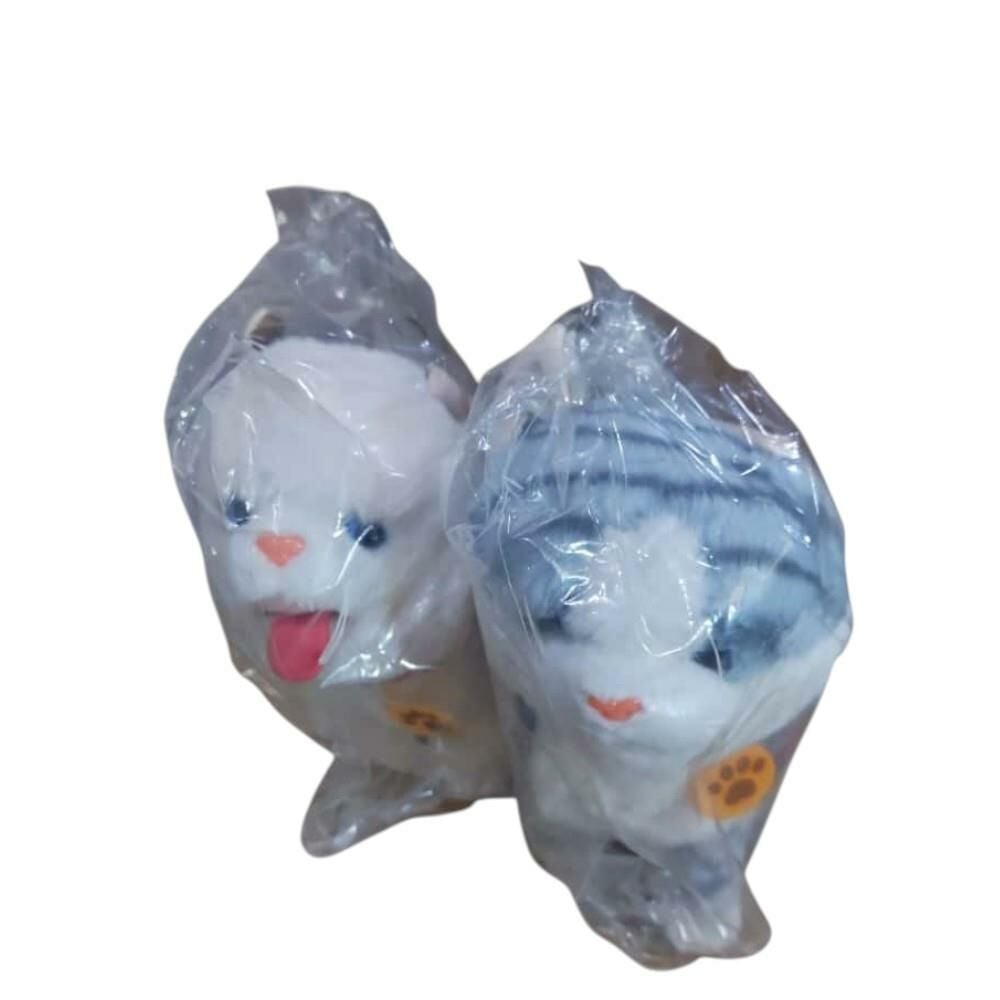 Pilli Kumandalı Kedi