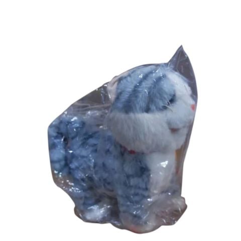 Pilli Kumandalı Kedi