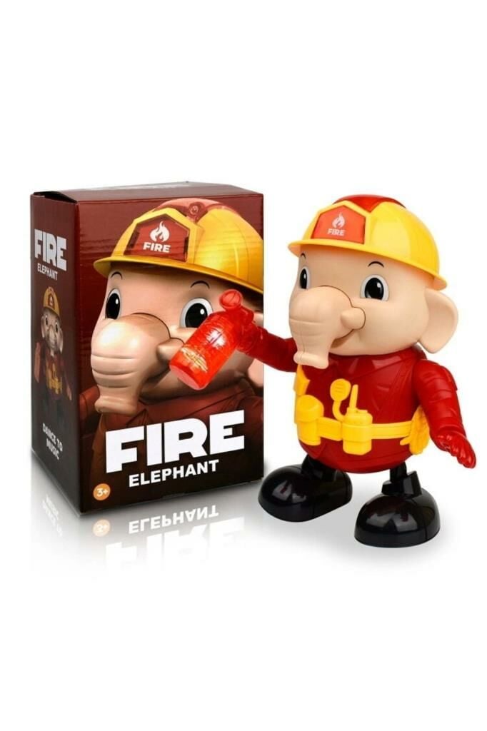 Kutulu Pilli Dans Eden Fil