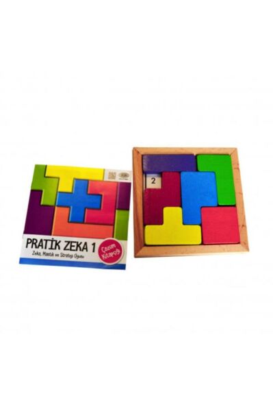 Pratik Zeka 1 Akıl Oyunu