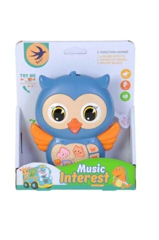 Pilli Sevimli Baykuş Piyano