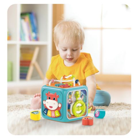 Işıklı ve Müzikli 6 in 1 Aktivite Küpü