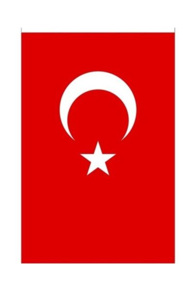 Vatan Bayrak Vatan 30x45 Türk Bayrağı Vt102
