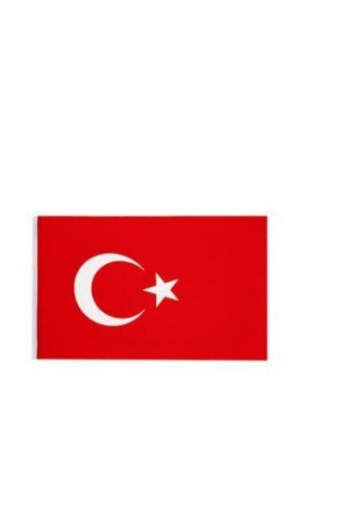 Vatan Bayrak 60x90 cm Bayrak