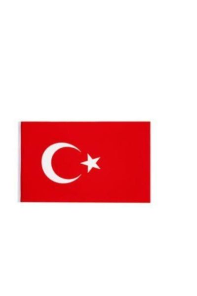 Vatan Bayrak 60x90 cm Bayrak