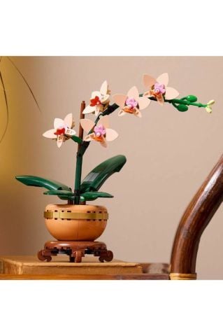 LEGO ® Botanicals Mini Orkide 10343 - Yetişkinler için Dekoratif Çiçek Yapım Seti (274 Parça)
