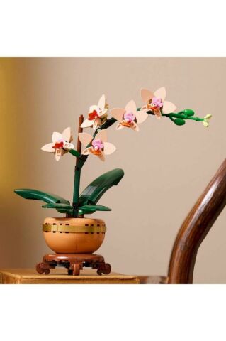 LEGO ® Botanicals Mini Orkide 10343 - Yetişkinler için Dekoratif Çiçek Yapım Seti (274 Parça)