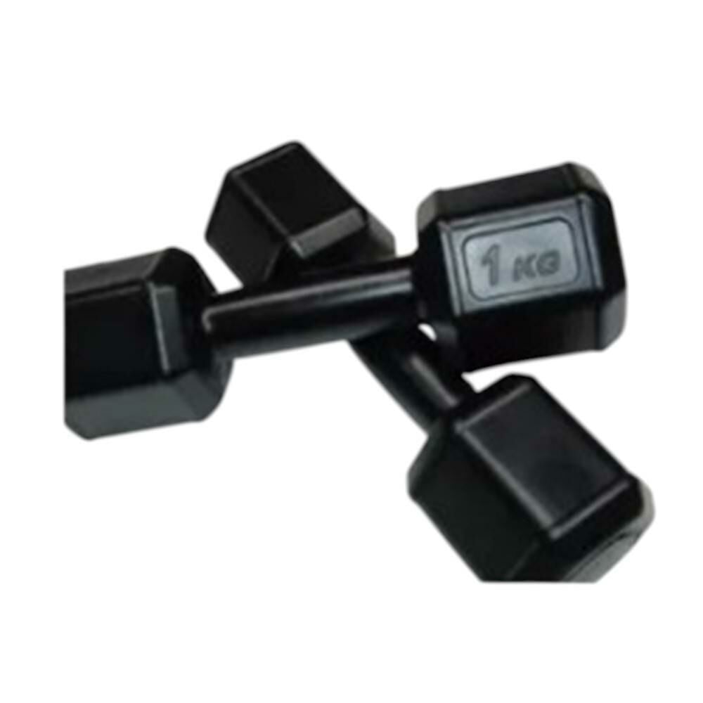 1 Kg Plastik Dambıl