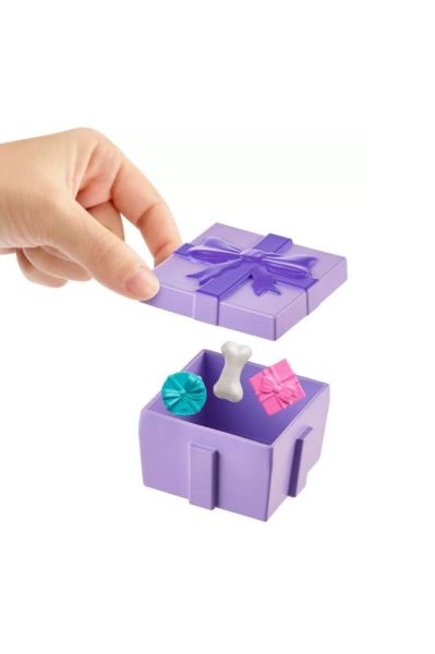 Polly Pocket Polly'nin Doğum Günü Partisi Paketi | JCC33