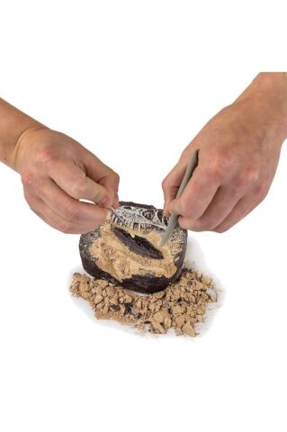 National Geographic Türkçe Dino Kazı Kiti