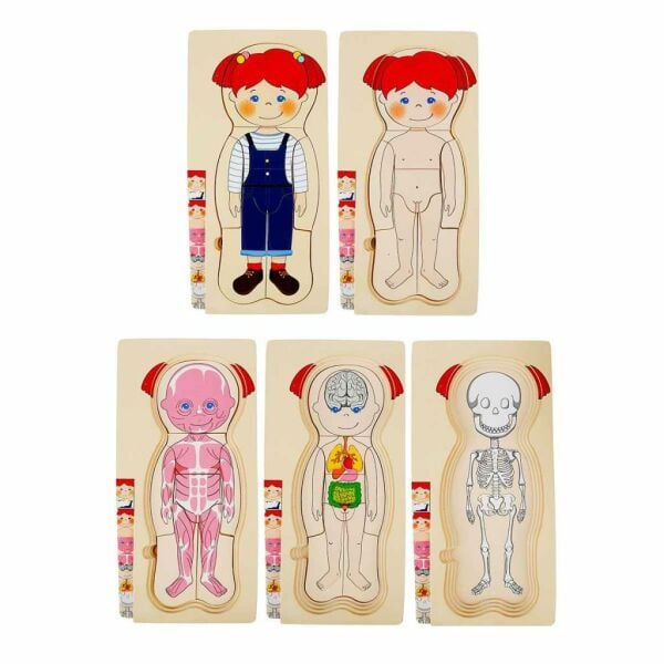Oyna Öğren Katmanlı Insan Vücudu Ahşap Puzzle