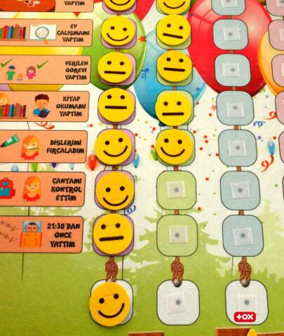 Sorumluluk Çizelgem Keçe Cırtlı Duvar Panosu